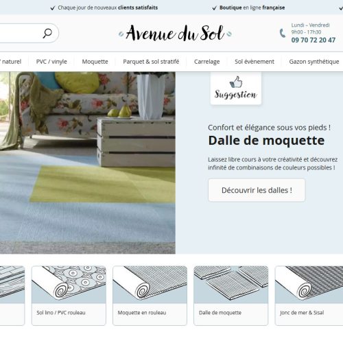 Avis Avenuedusol.com